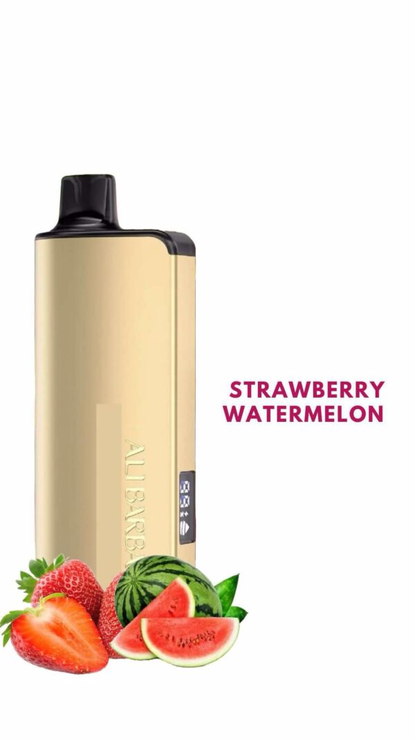 ALIBARBAR INGOT – STRAWBERRY WATERMELON – 9000 PUFFS