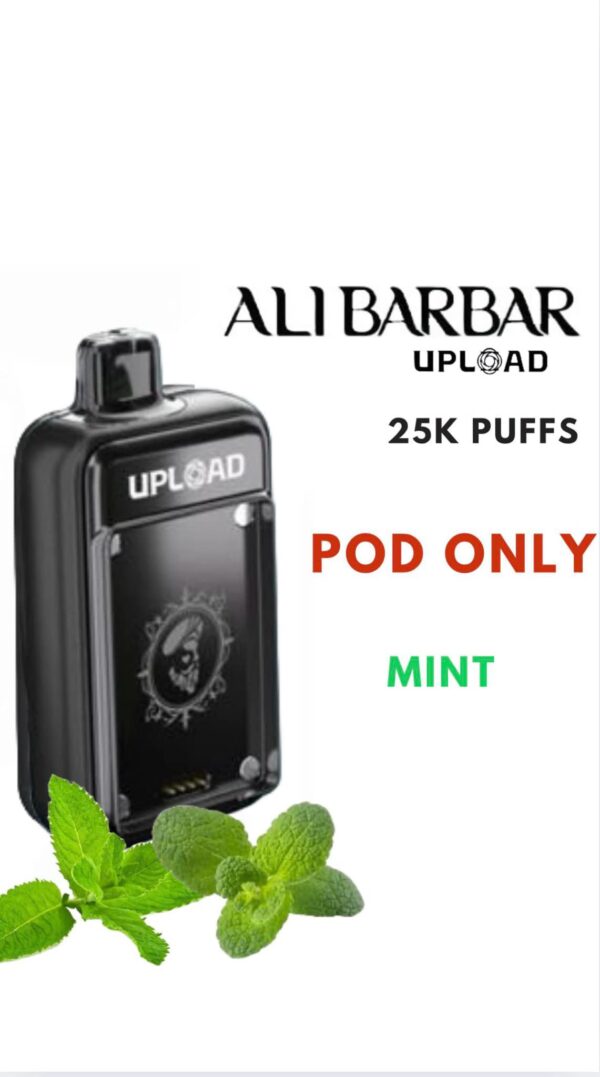 ALIBARBAR UPLOAD POD ONLY – MINT – 25000 PUFFS